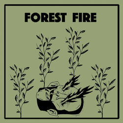 Cover of Forest Fire