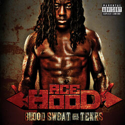 Cover of Blood Sweat & Tears