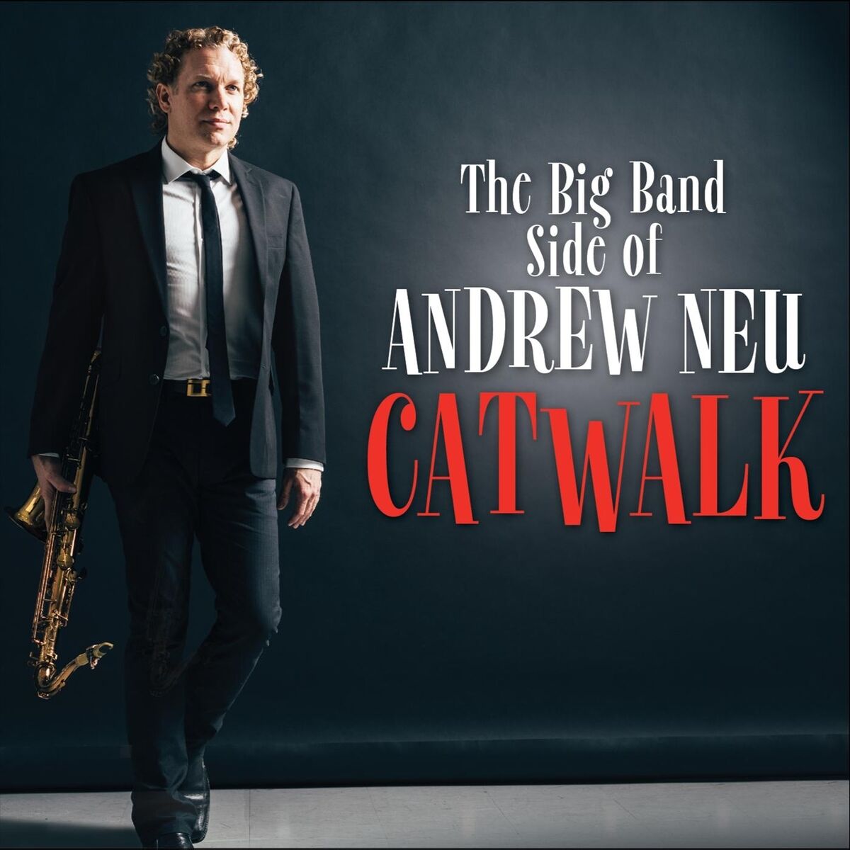Album cover of Zebrano