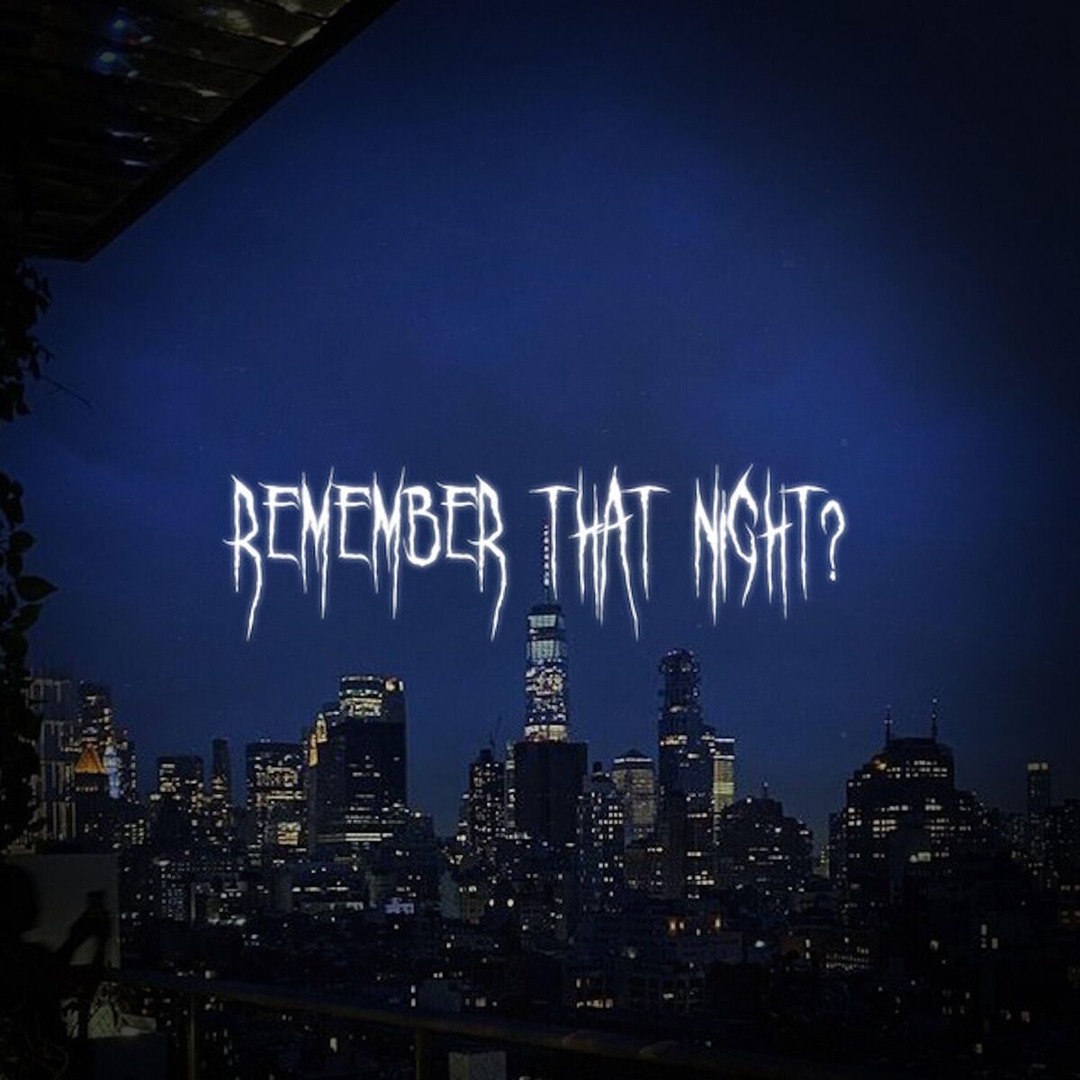 Album cover of Remember That Night?