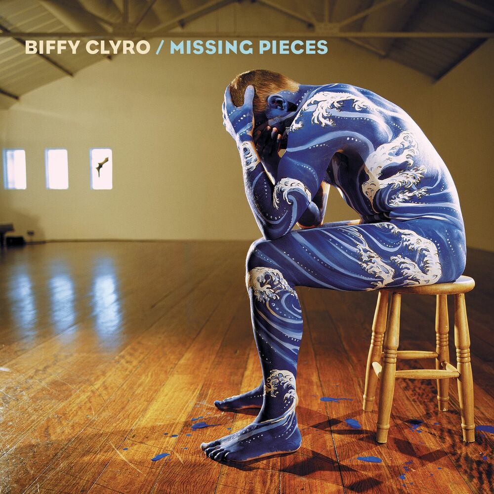 Picture of Missing Pieces