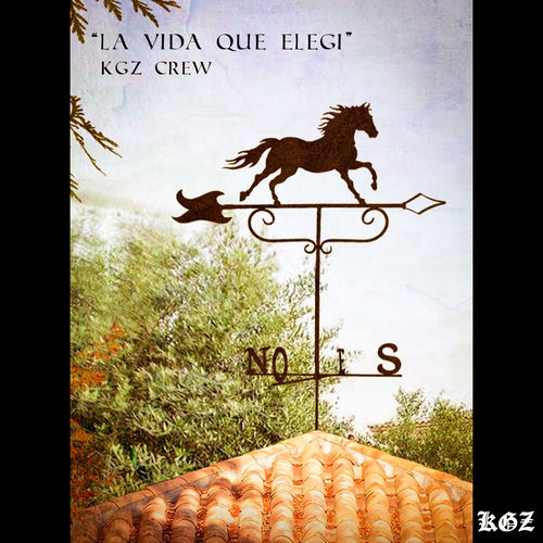 LA VIDA QUE ELEGI
