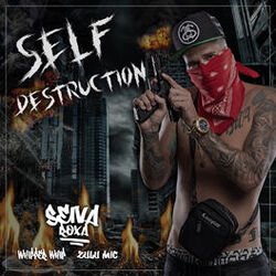Cover of Self Destruction
