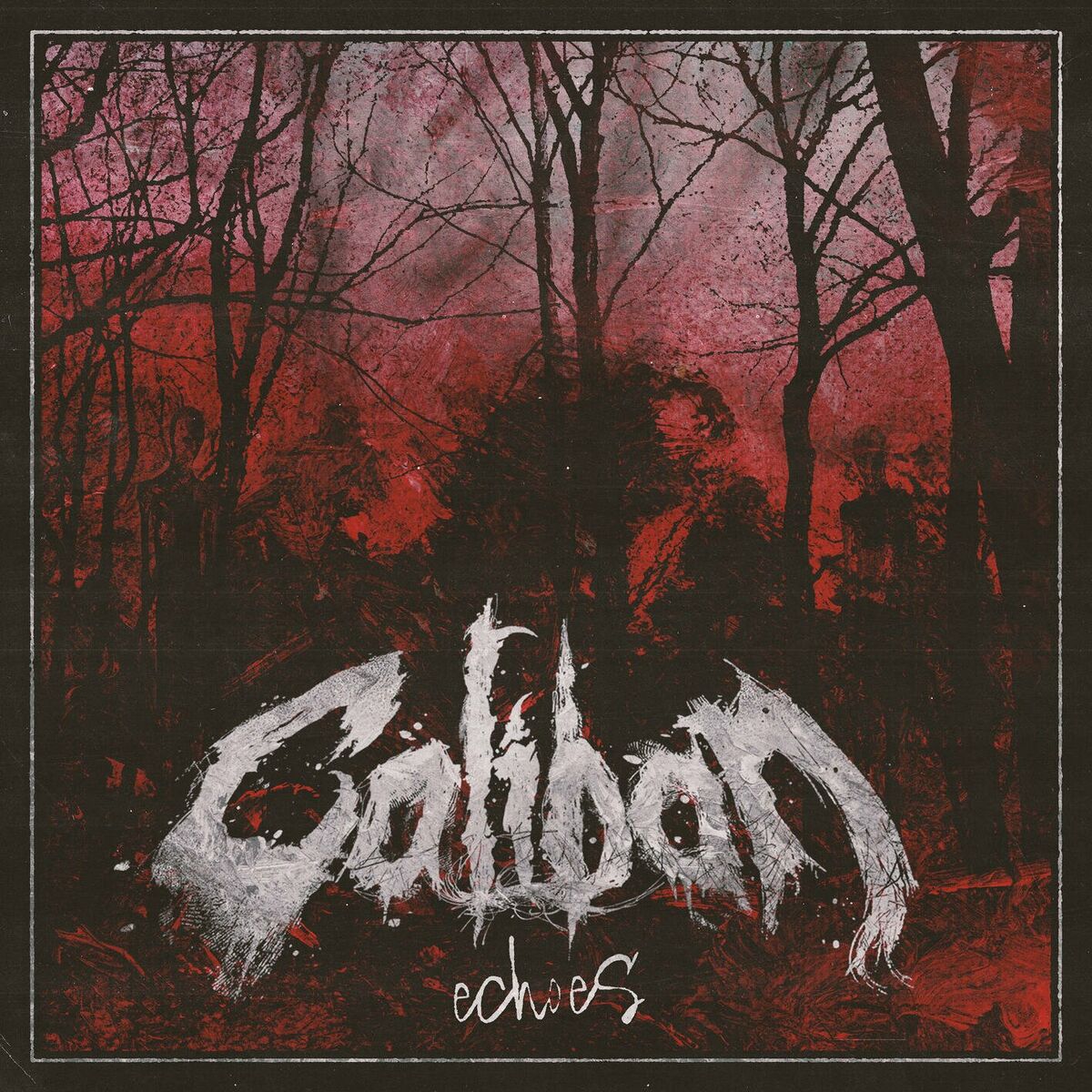 Album cover of Echoes