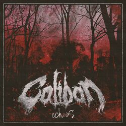 Cover of Echoes