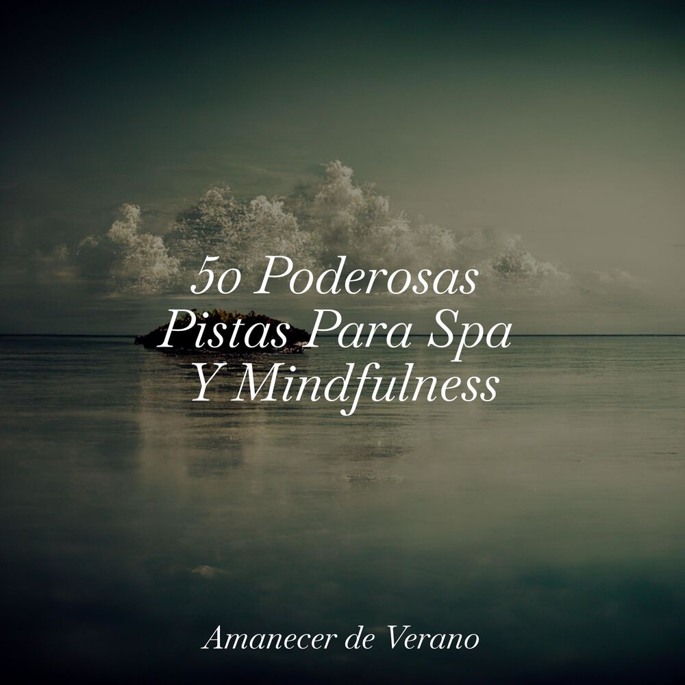Picture of 50 Poderosas Pistas Para Spa Y Mindfulness