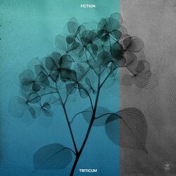 Cover of Fiction