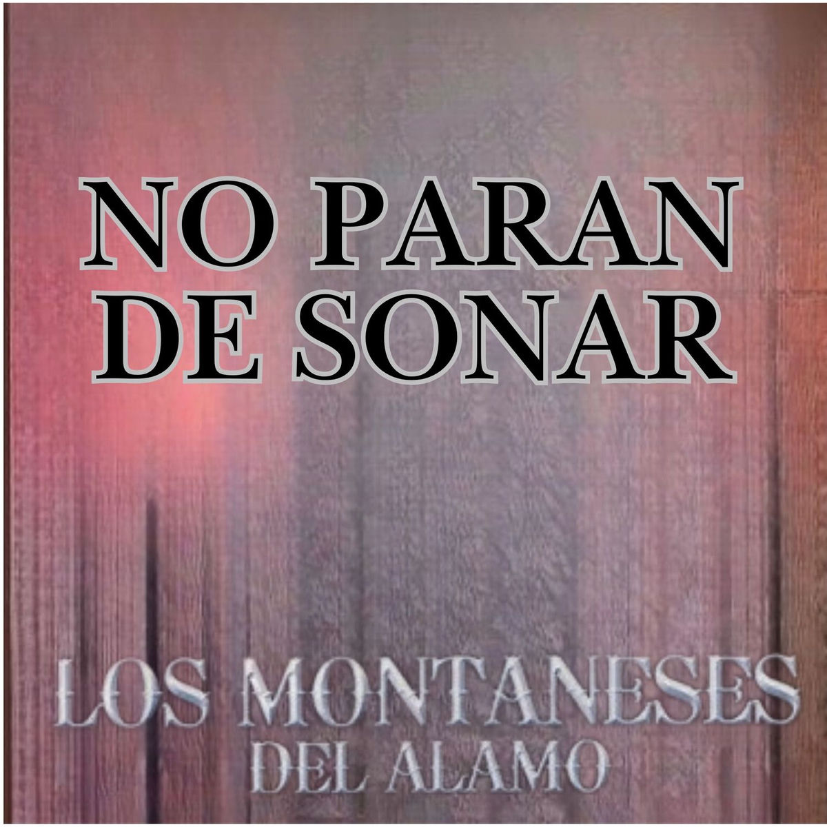 Album cover of No Paran de Sonar
