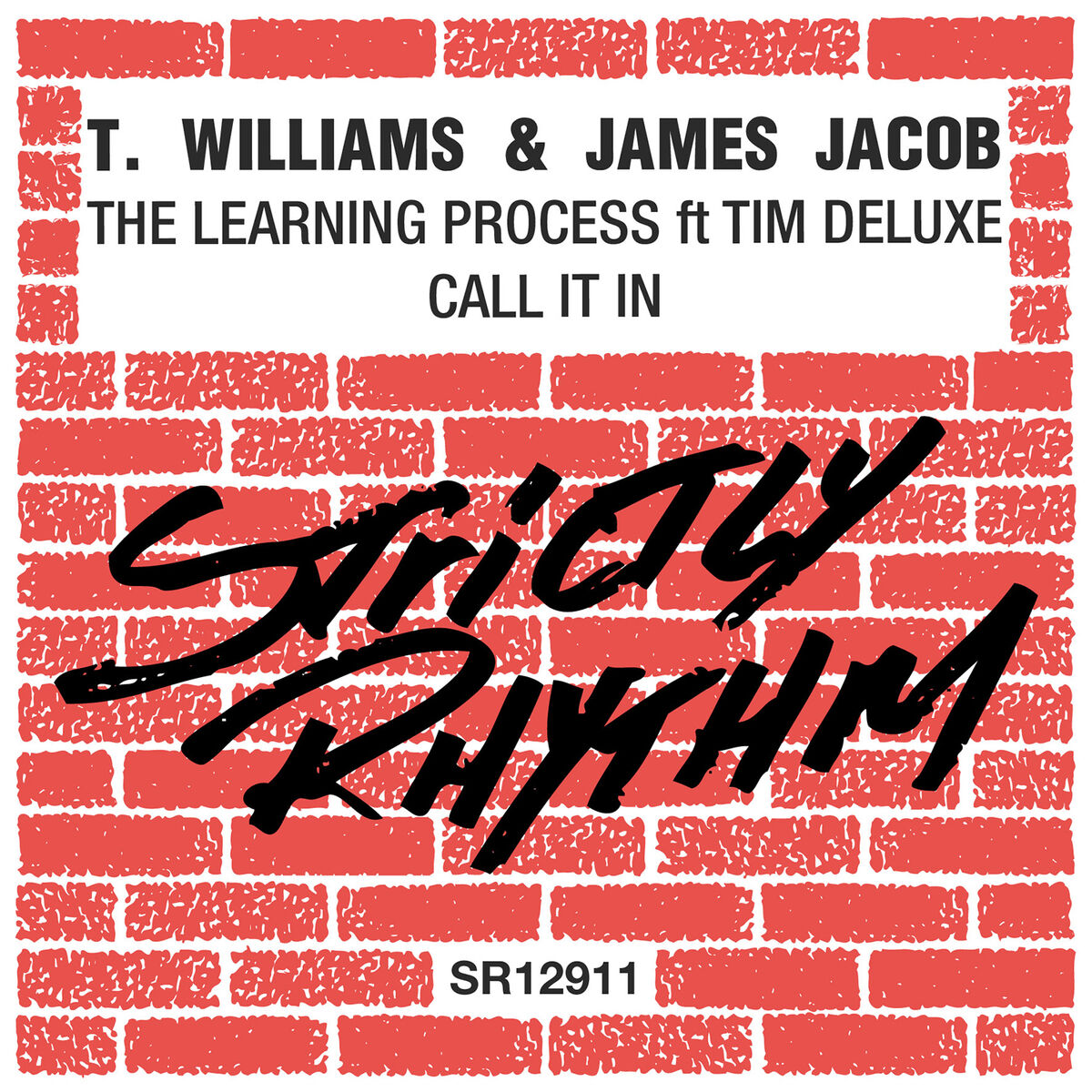 Album cover of The Learning Process (feat. Tim Deluxe)