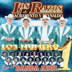 Cover of Los Número 1