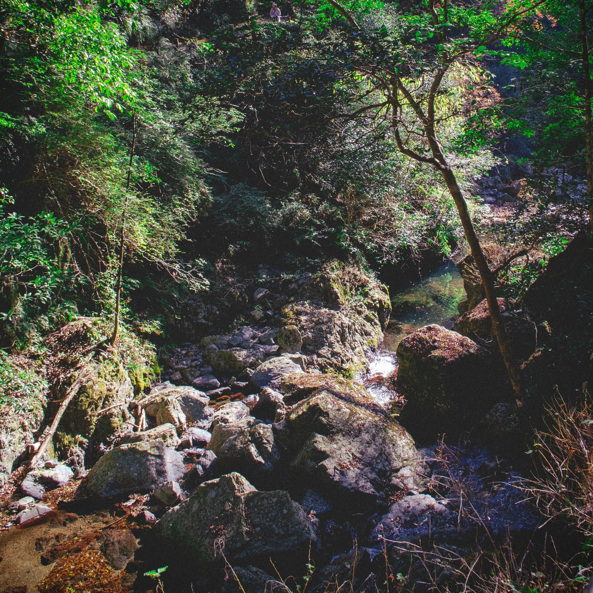 Album cover of Cozy Streams
