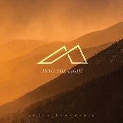 Cover of Into the Light