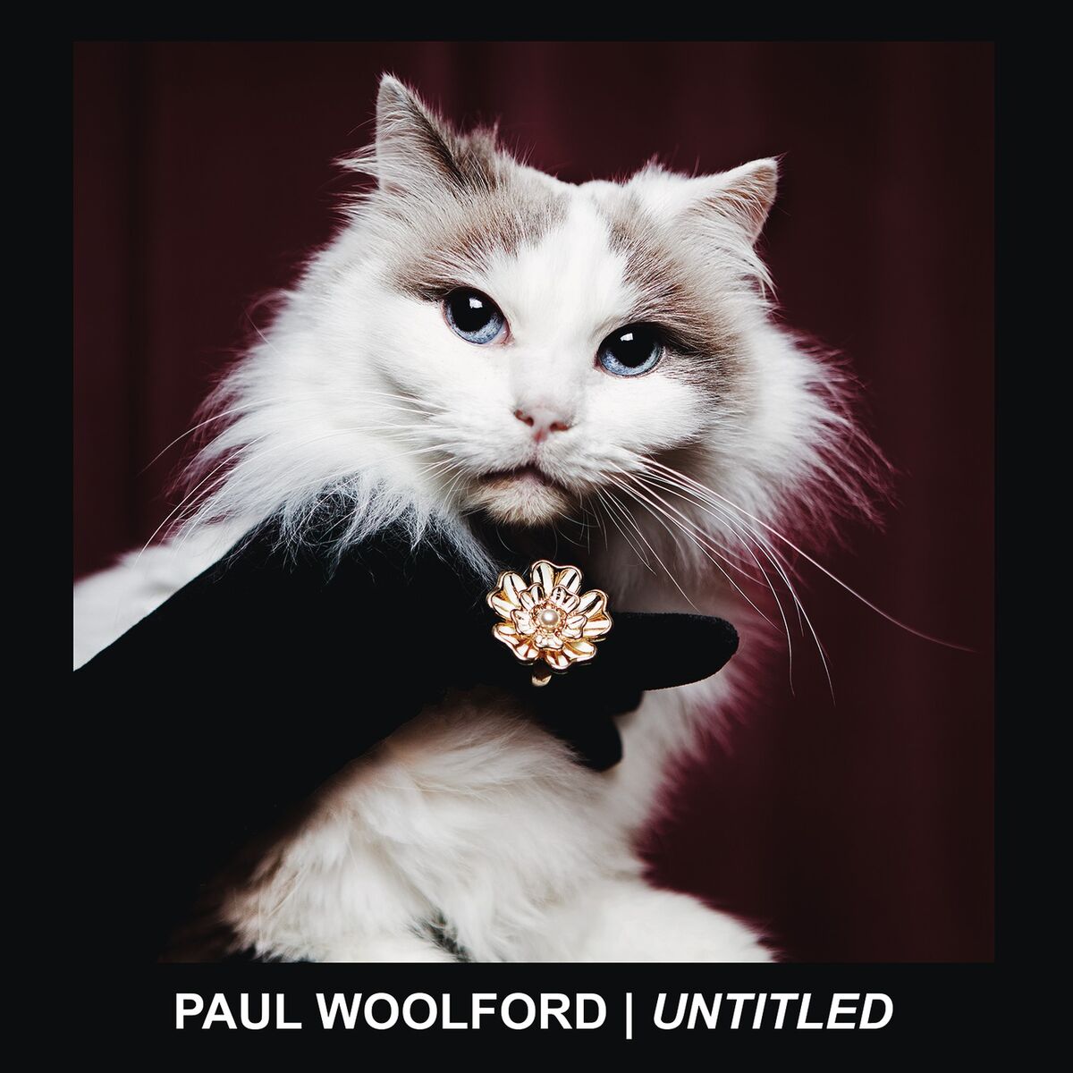 Album cover of Untitled (Call Out Your Name)