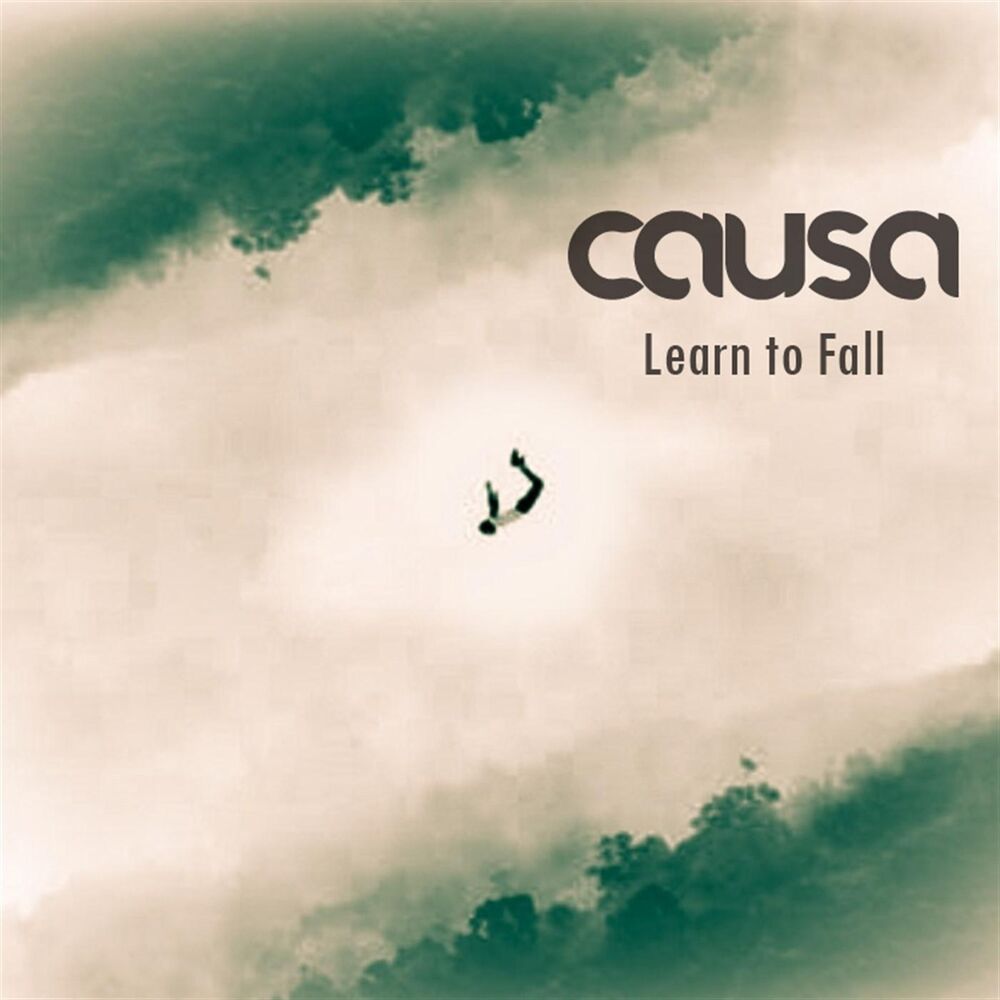 Picture of Learn to Fall