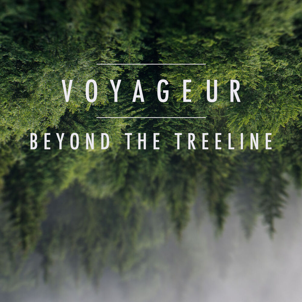 Picture of Beyond the Treeline