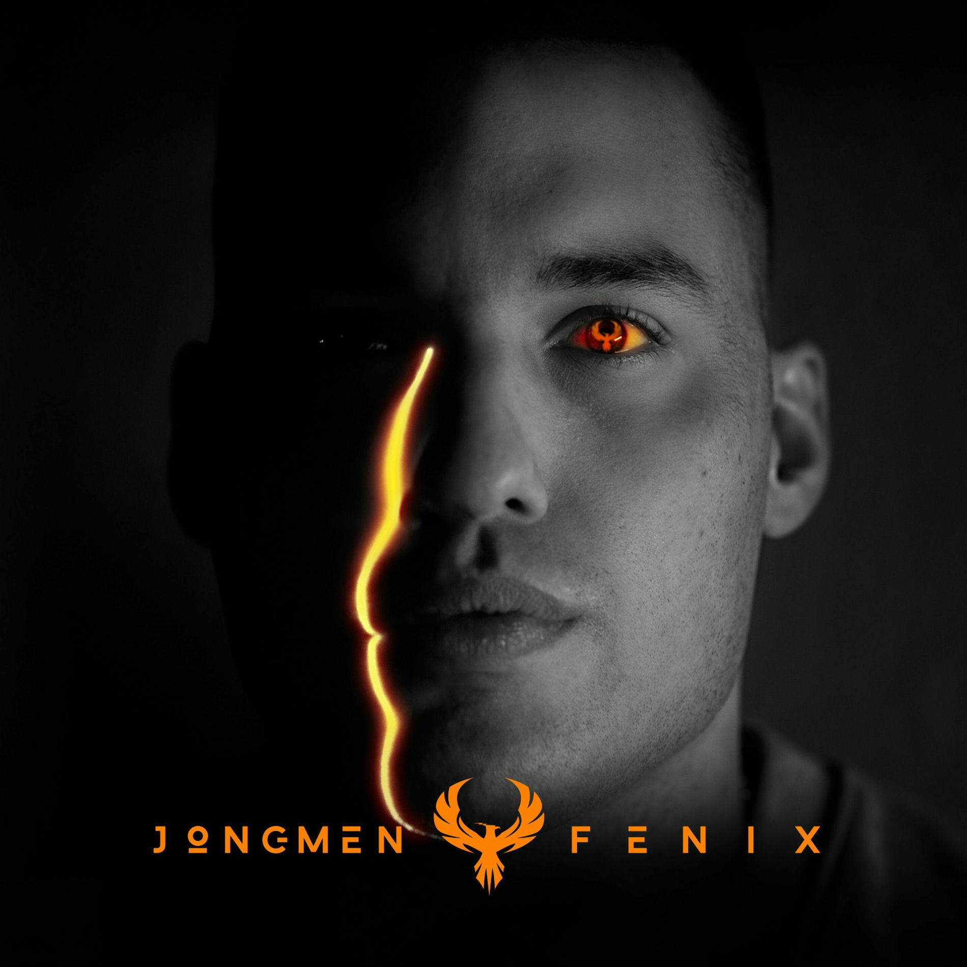 Album cover of Fenix