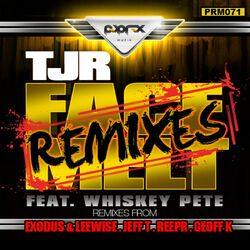 Cover of Face Melt Remixes