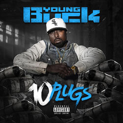 Cover of 10 Plugs