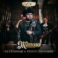 Cover of Mi Homenaje A Vicente Fernández (Acá Entre Nos / Por Tu Maldito Amor / La Derrota)