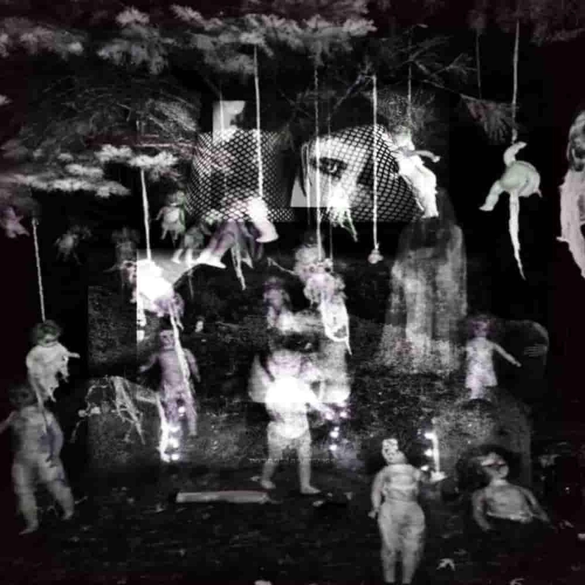 Album cover of terror coldens