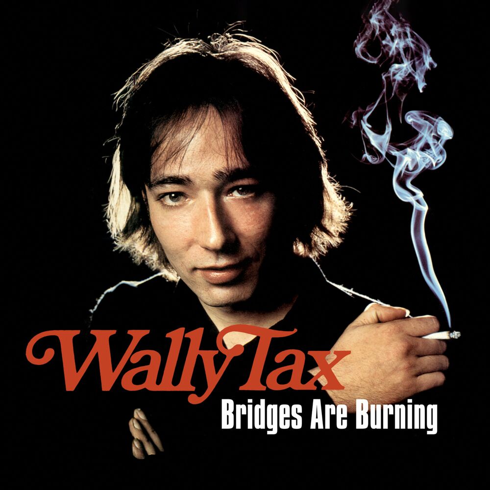 Picture of Bridges Are Burning (remastered)