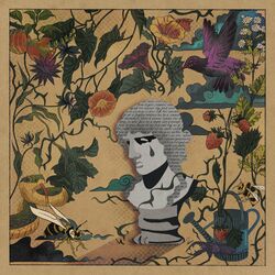 Cover of Never The Muse