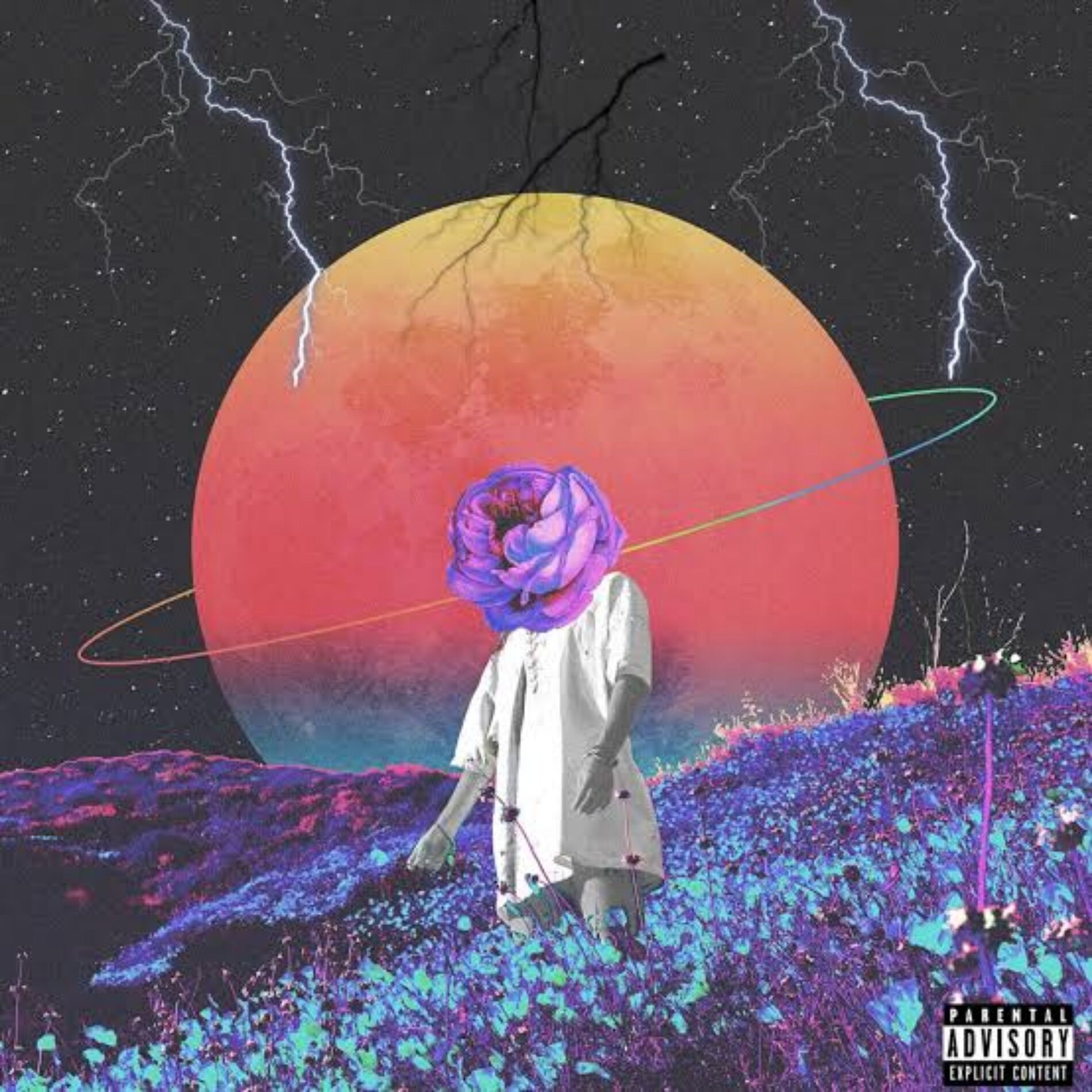 Album cover of MMA