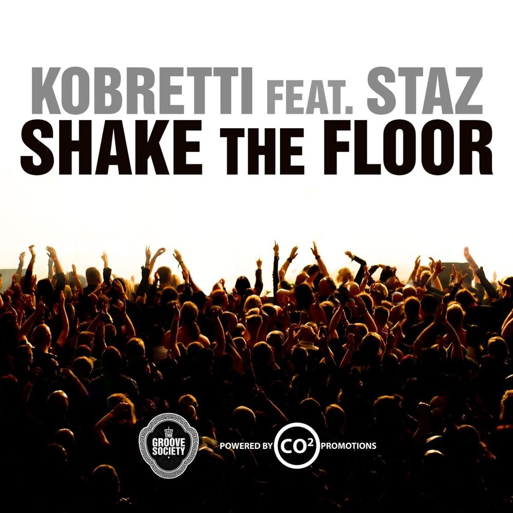 Picture of Shake the Floor (feat. Staz)