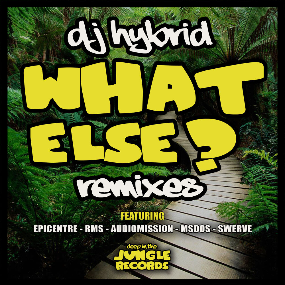 Picture of What Else Remixes
