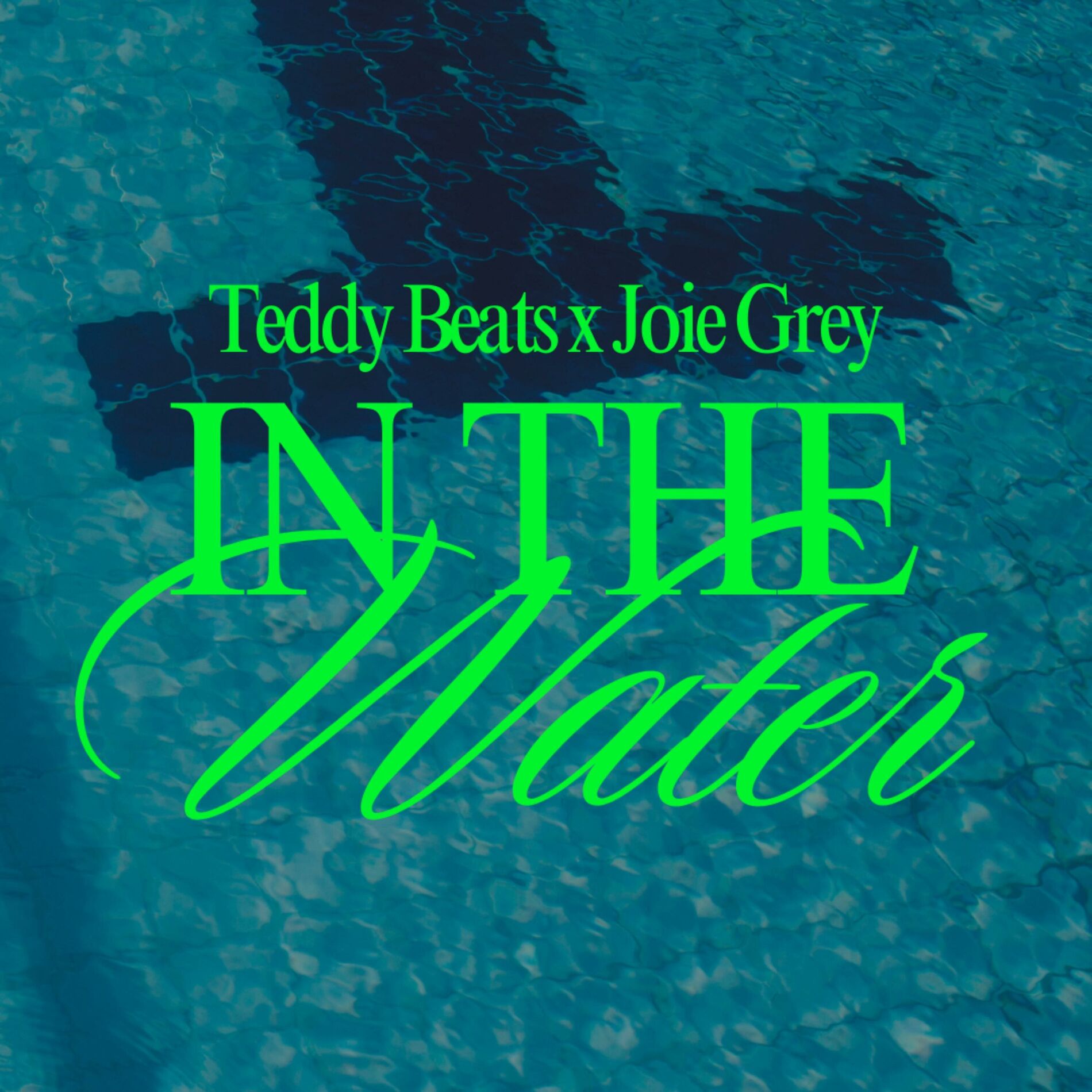 Album cover of In The Water
