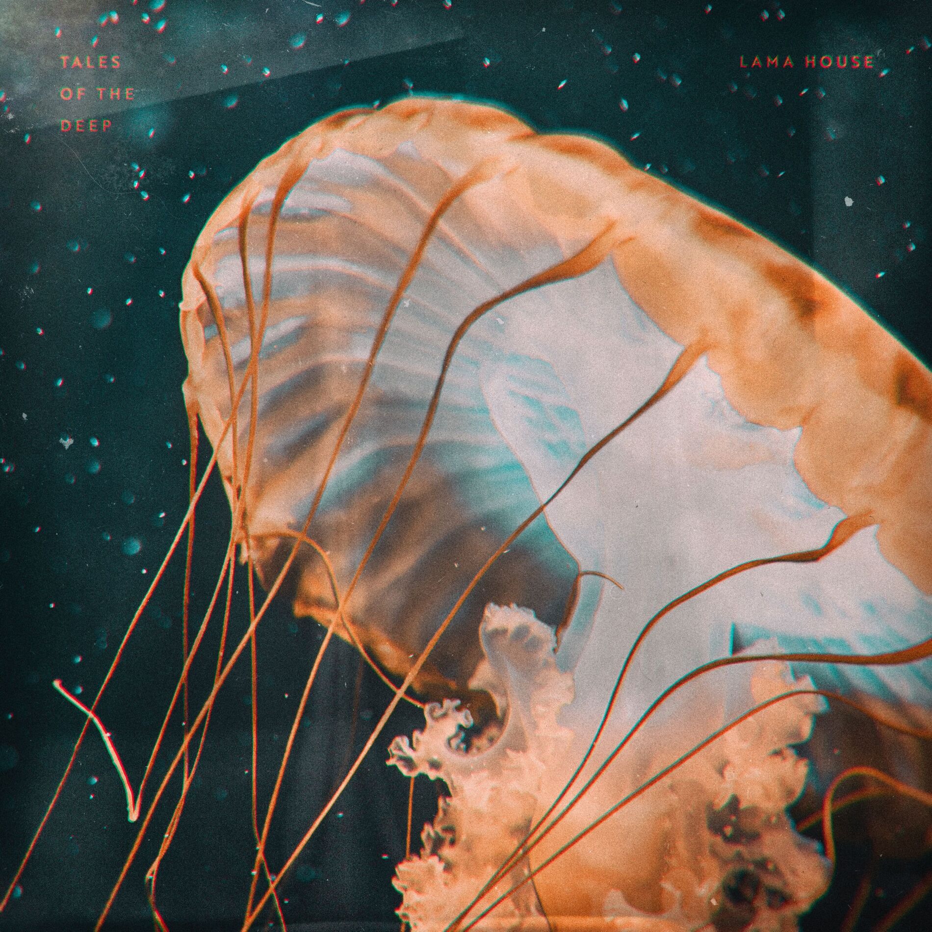 Album cover of Tales of the Deep