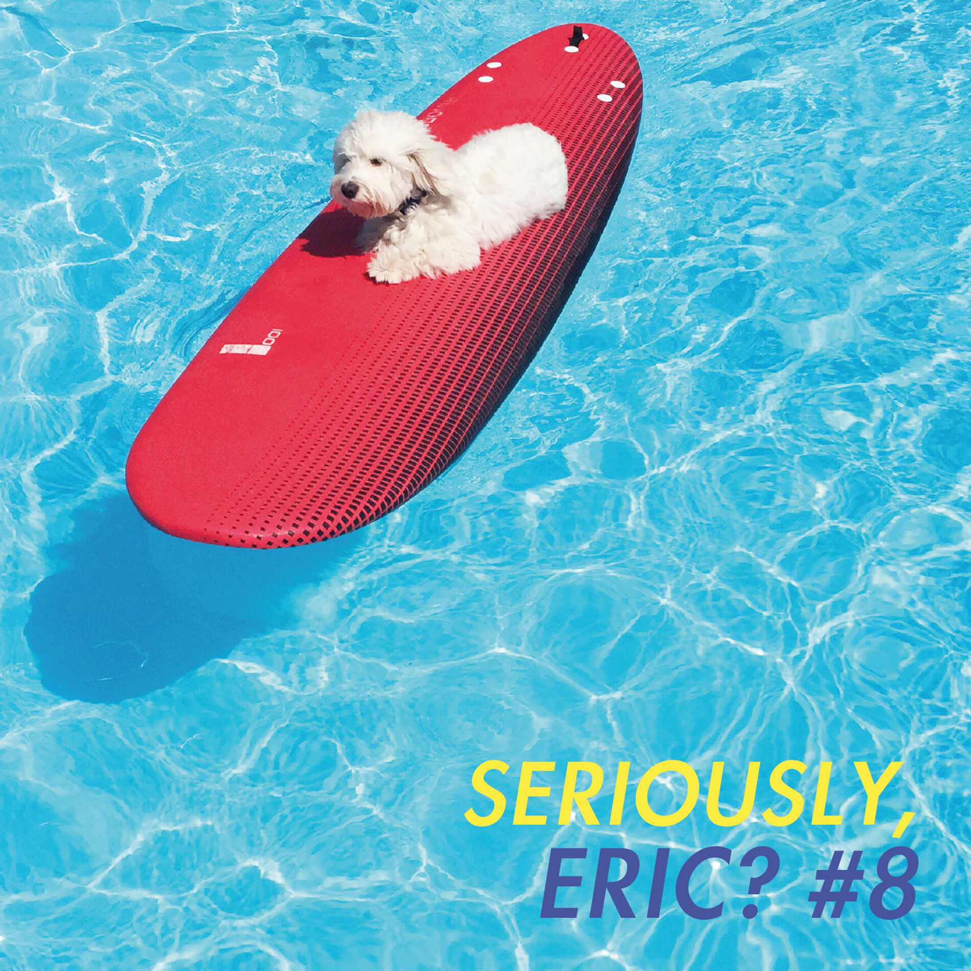 Album cover of Mr Know It All
