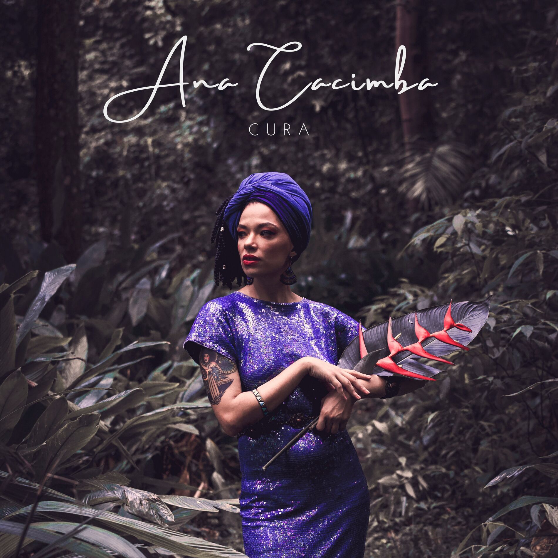 Album cover of Cura