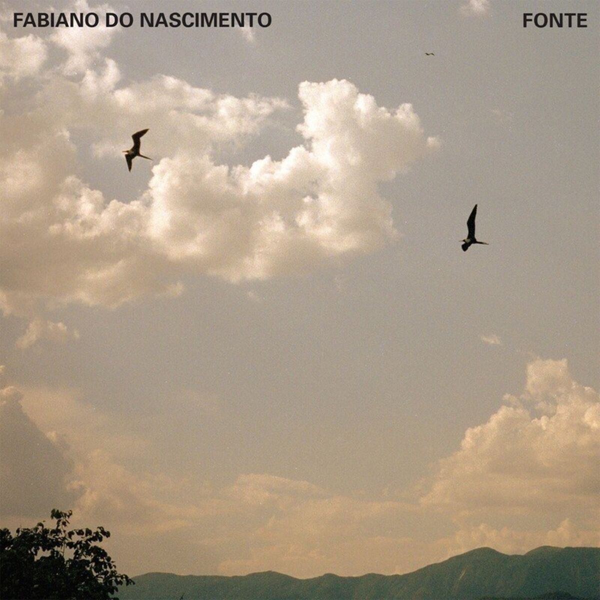 Album cover of Fonte