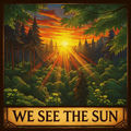 We See the Sun