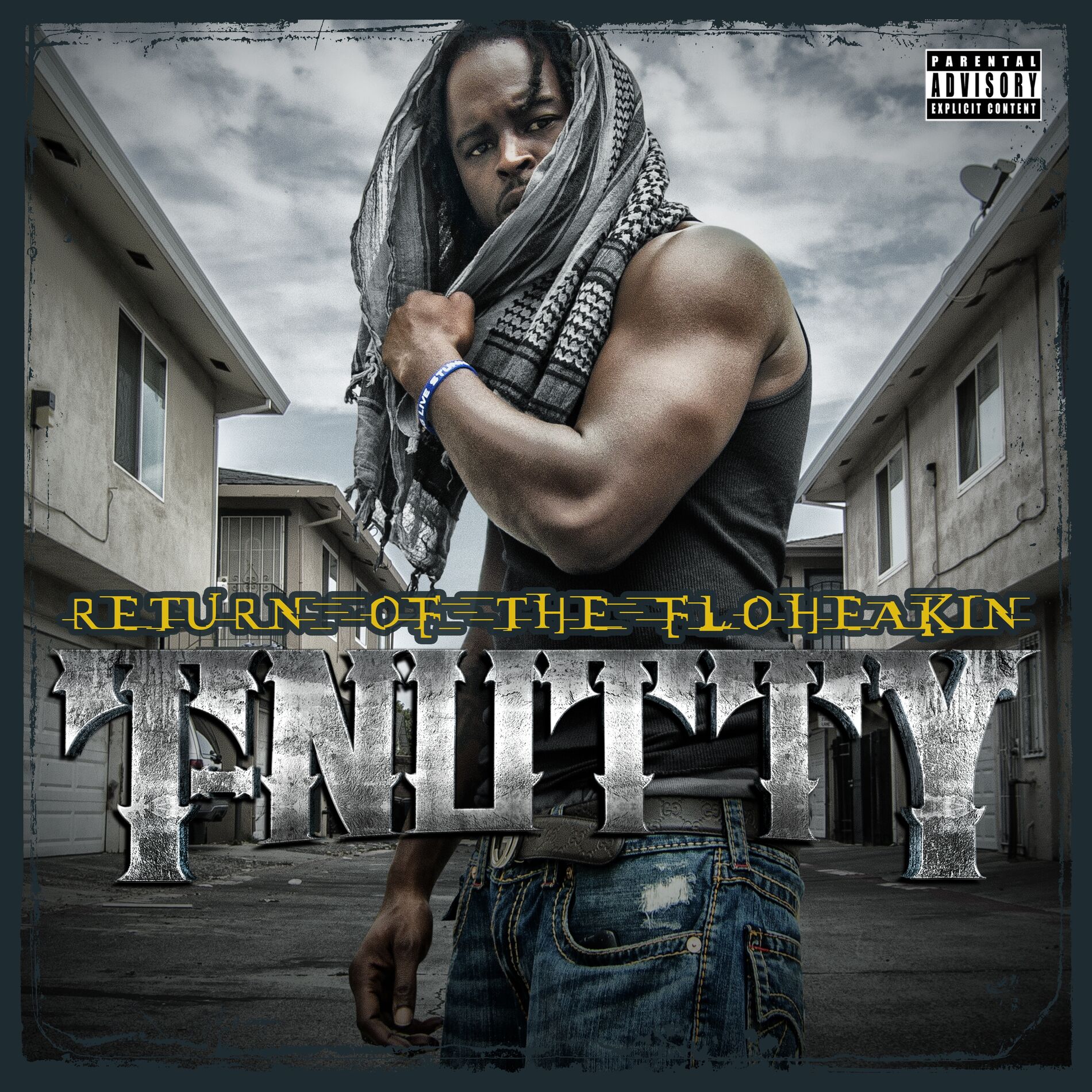 Album cover of Return of the Floheakin