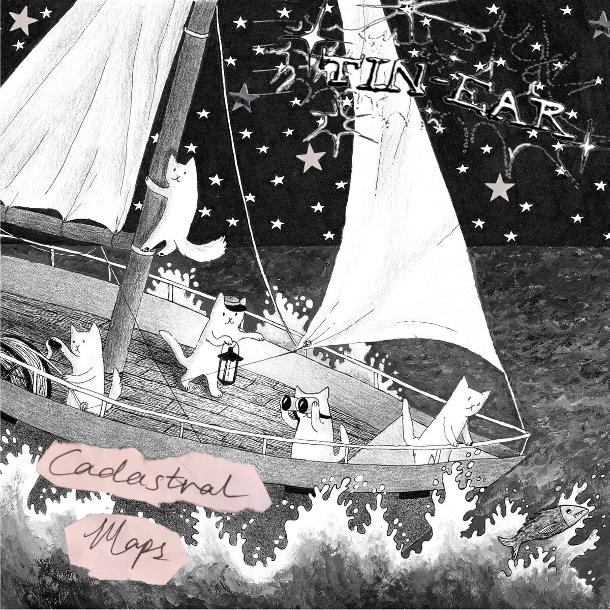 Album cover of Cadastral Maps