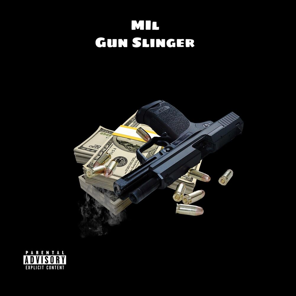 Picture of Gun Slinger