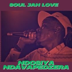 Cover of Ndosiya Ndavapedzera