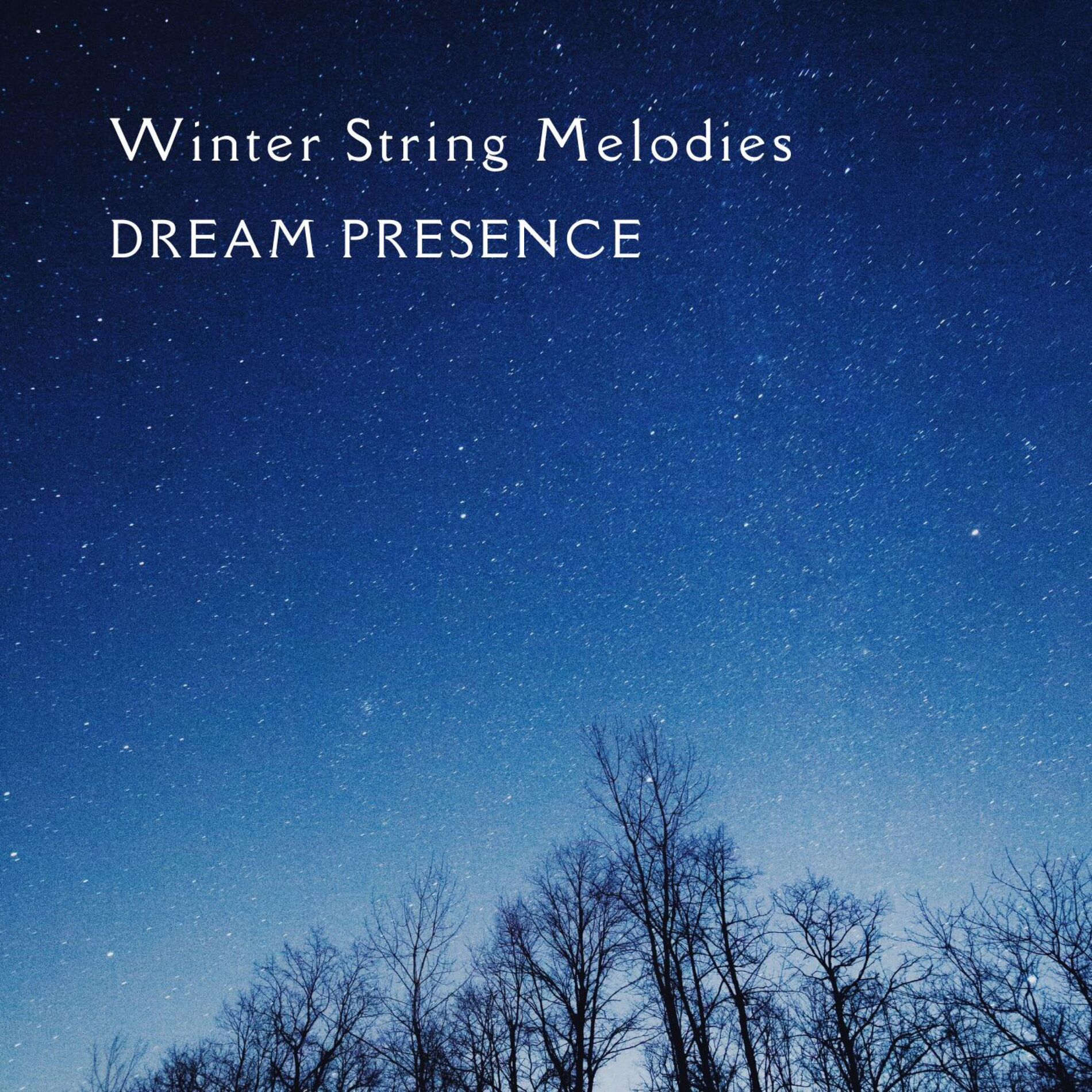 Album cover of Winter String Melodies