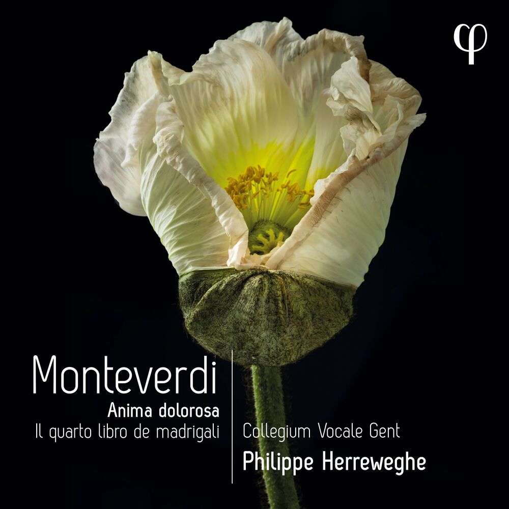 Picture of Monteverdi: Il quarto libro de madrigali