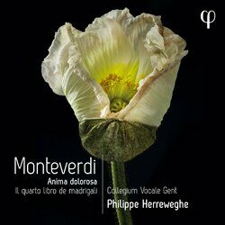 Cover of Monteverdi: Il quarto libro de madrigali