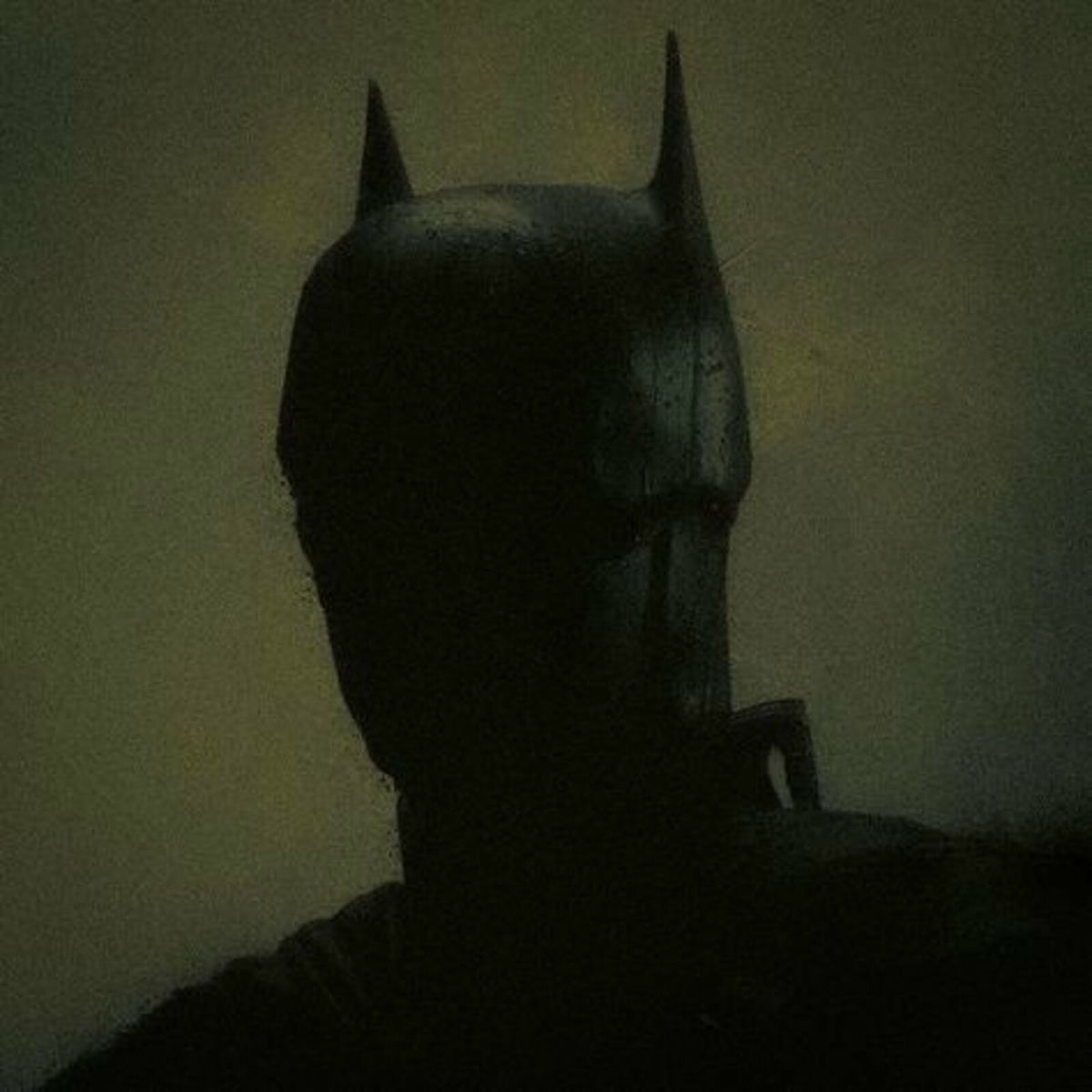 Album cover of I'm the Shadows