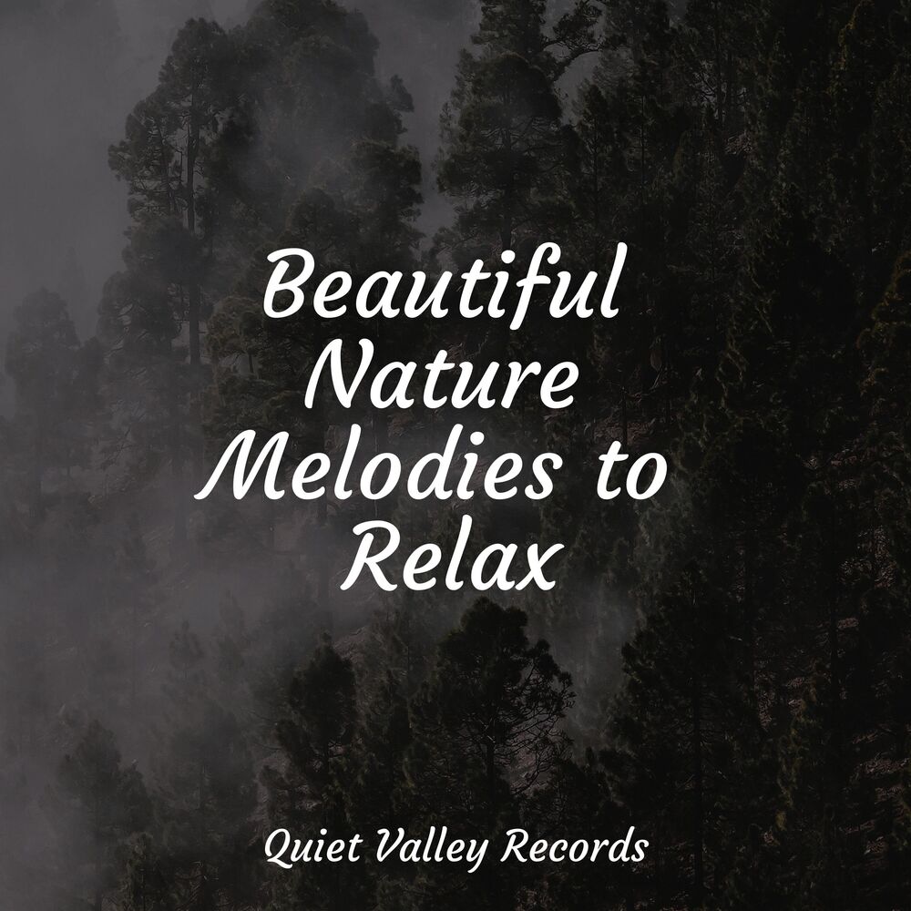 Picture of Beautiful Nature Melodies to Relax
