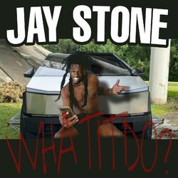 Cover of WHATITDO? (Demo)