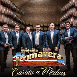 Cover of Cariño a Medias