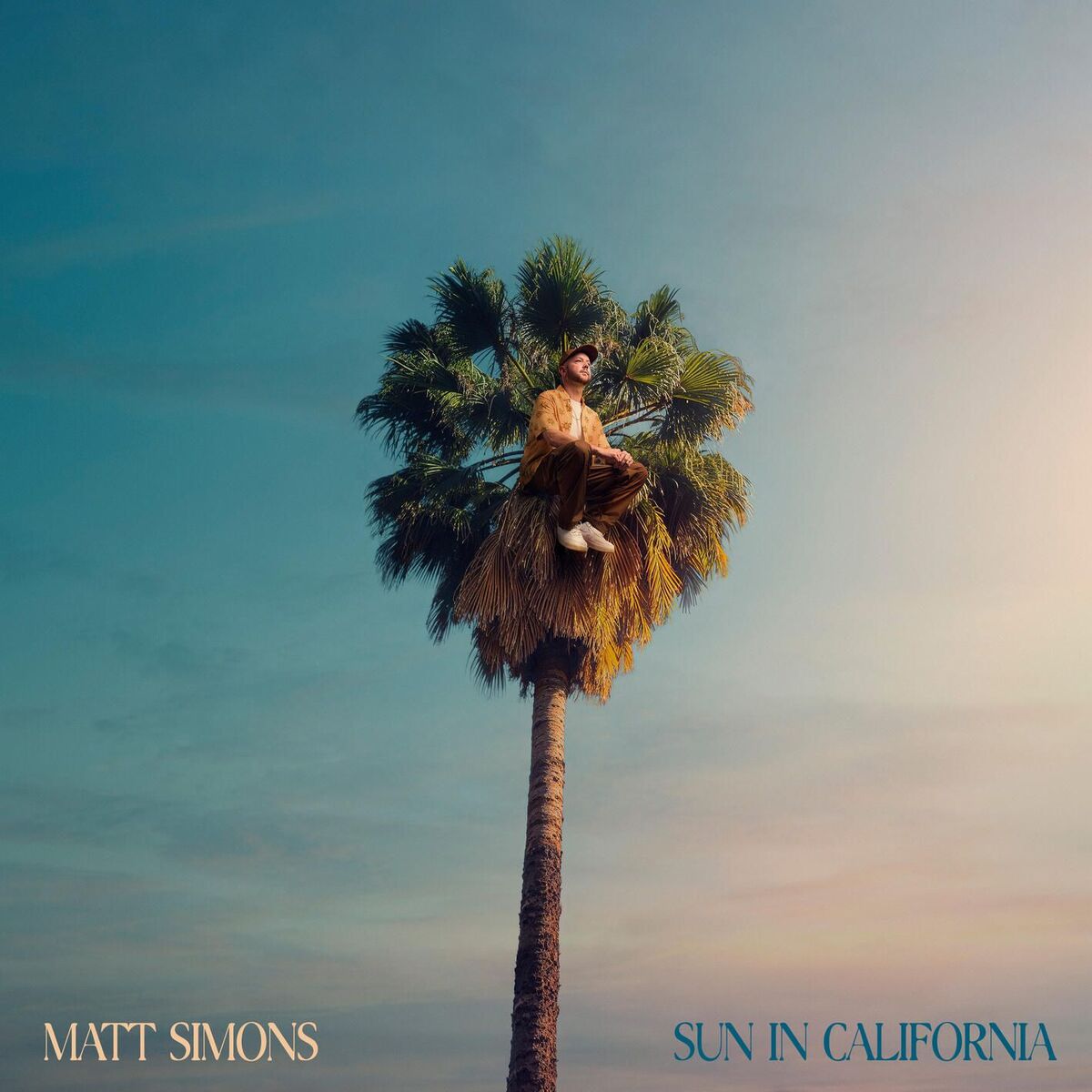 Album cover of Twin