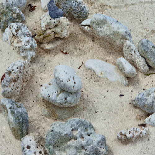 Jeon Yoodong – Hand Upon an Old Stone – Single