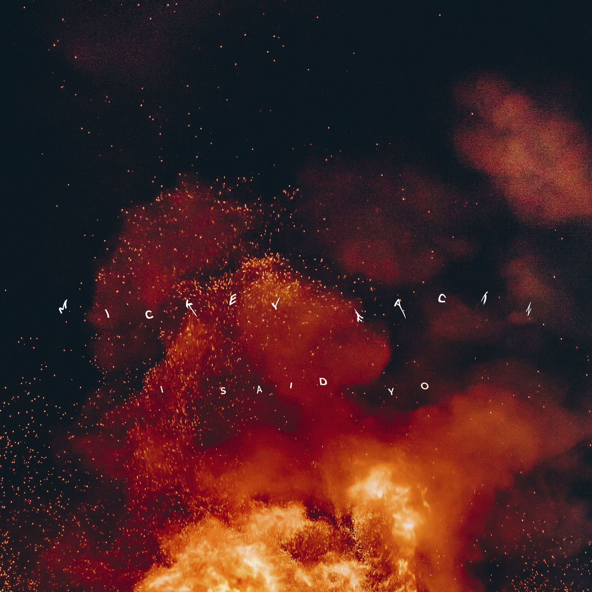 Album cover of I Said Yo