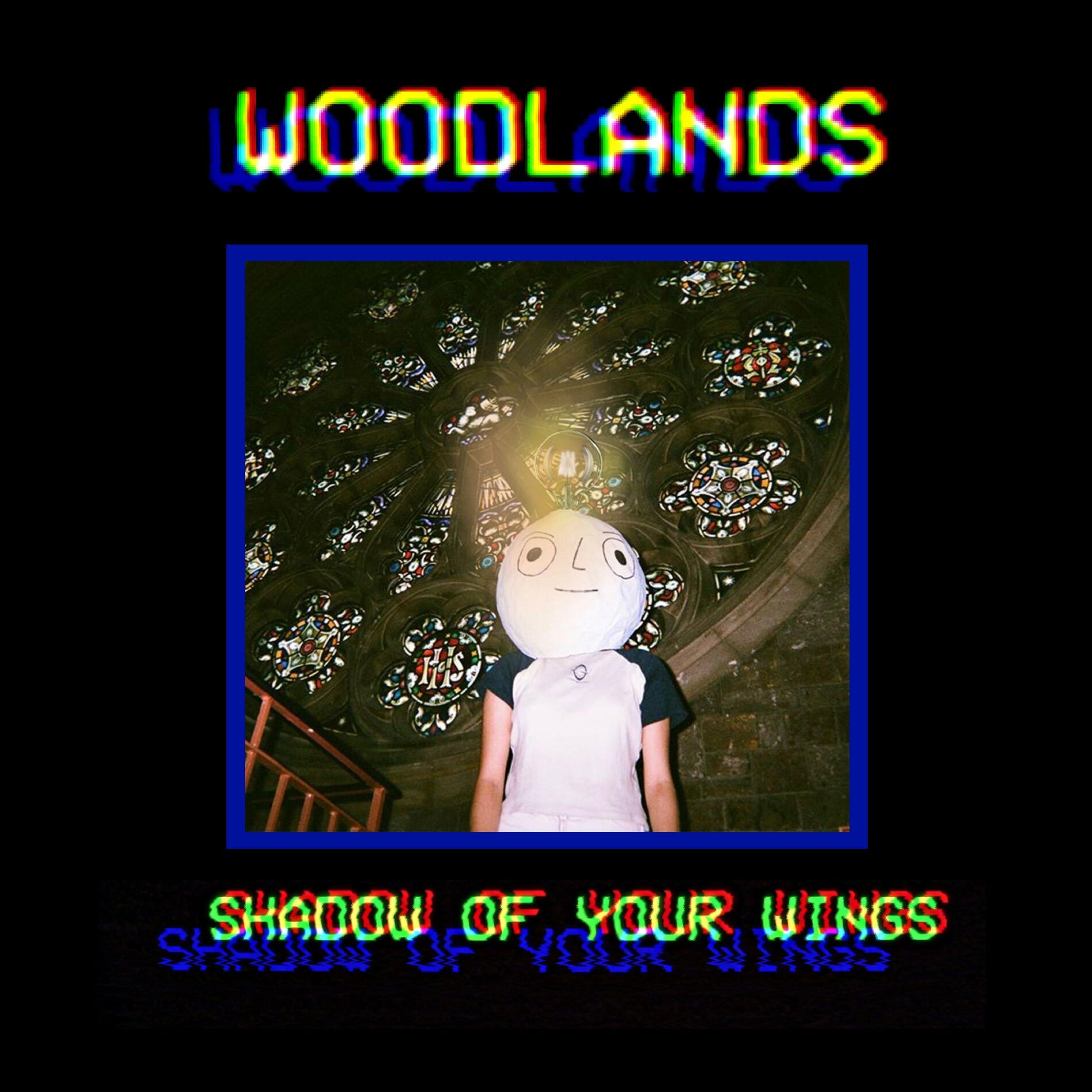 Album cover of Shadow of Your Wings